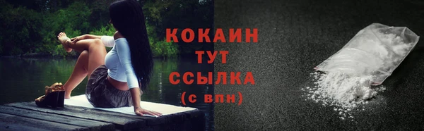 мяу мяу мука Новодвинск
