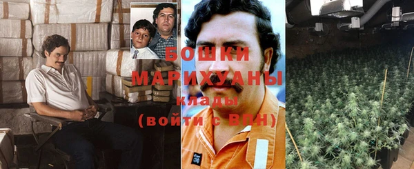 мяу мяу мука Новодвинск