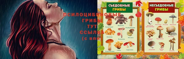 бошки Новокубанск