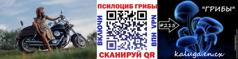 OMG зеркало  Закаменск  Псилоцибиновые грибы Cubensis  купить наркотики цена 